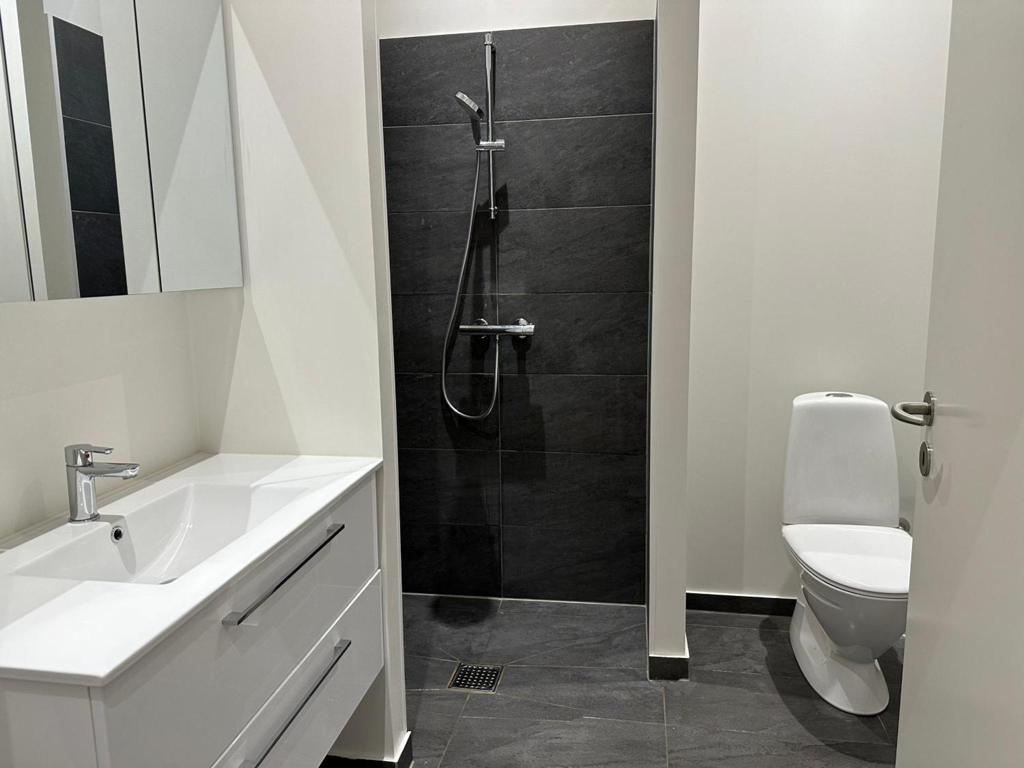 37-1-4 City Apartment Daemningen Вайле Екстериор снимка